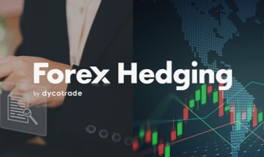 Forex hedging by DT 1